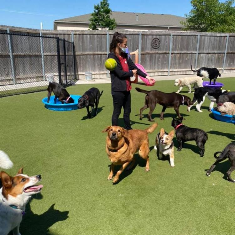 Indian Hills Animal Clinics Wichita, KS